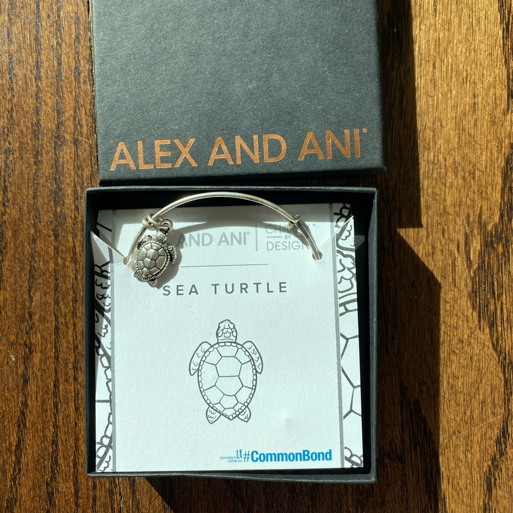 Lex and ani sea turtle